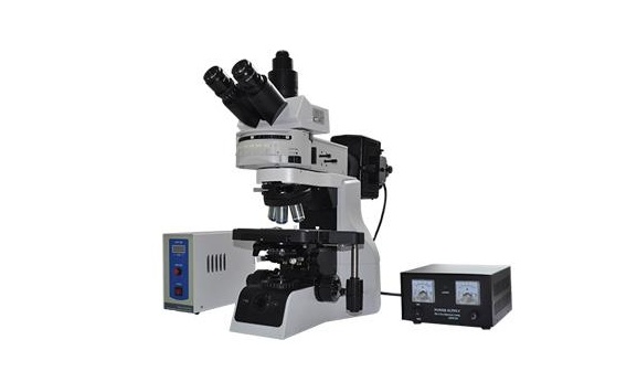 广西科技大学正置研究级荧光显微镜等仪器设备采购项目招标